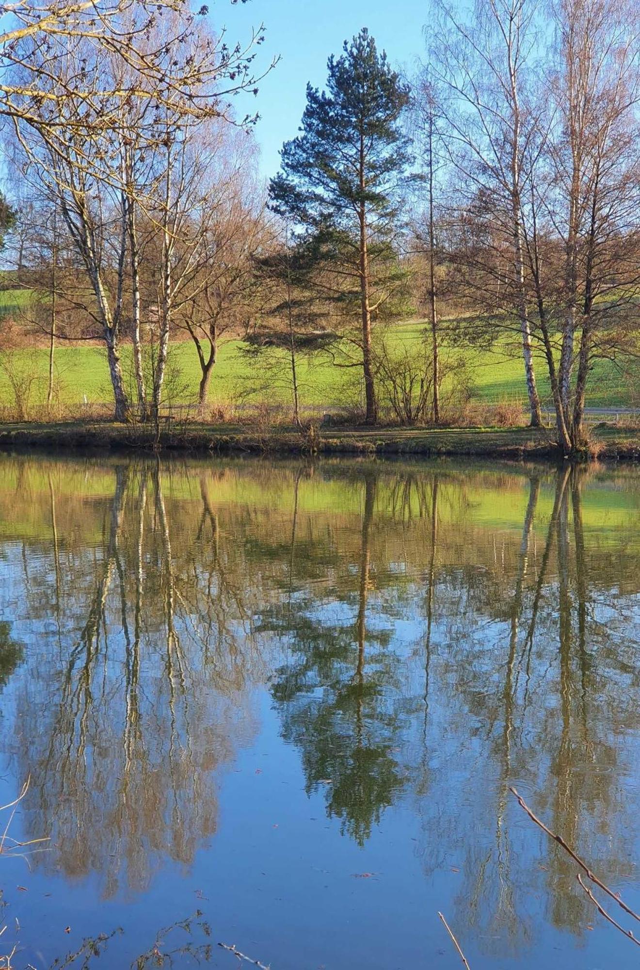 Kleinod Am Kurpark Lägenhet Bad Zwesten Exteriör bild