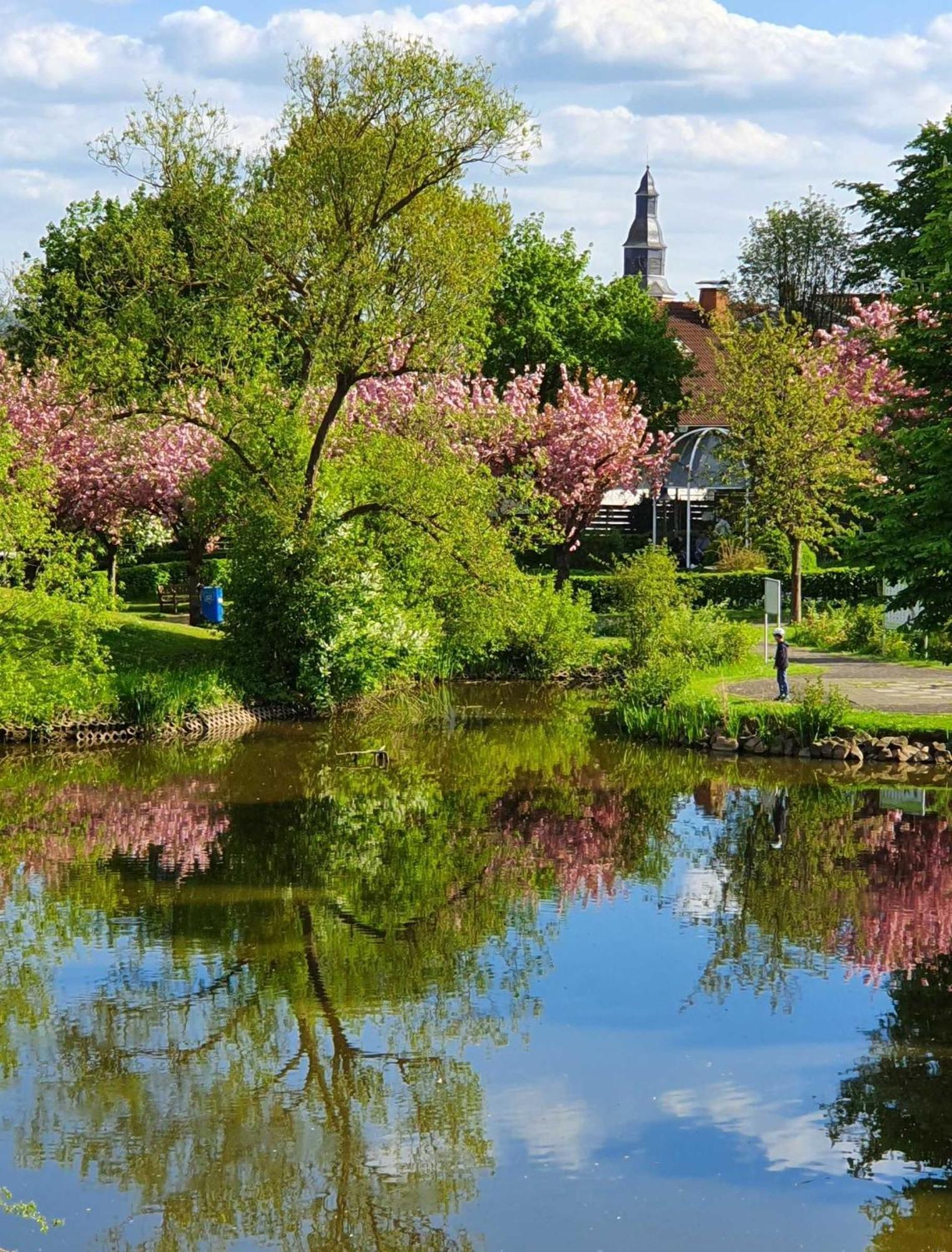 Kleinod Am Kurpark Lägenhet Bad Zwesten Exteriör bild